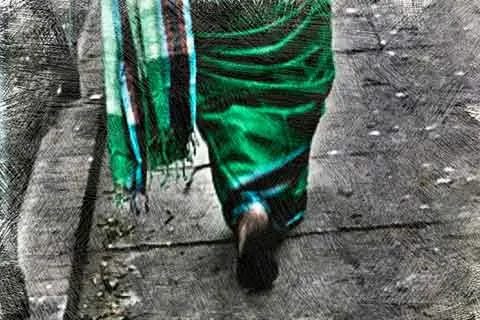 সবুজ শাড়ির কবিতা